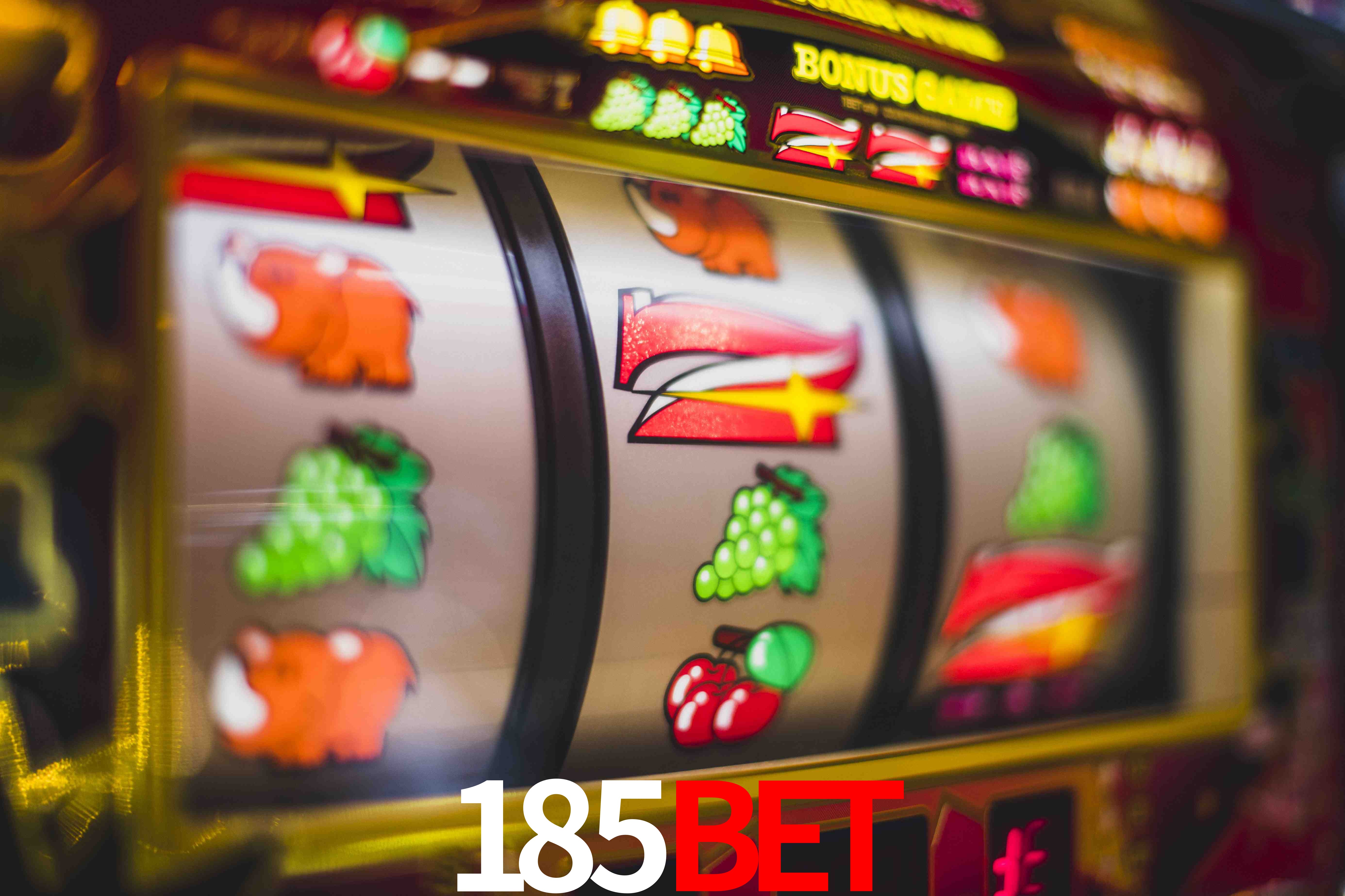 Statistics 185bet